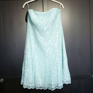 Ann Taylor Petite Strapless Lace Dress